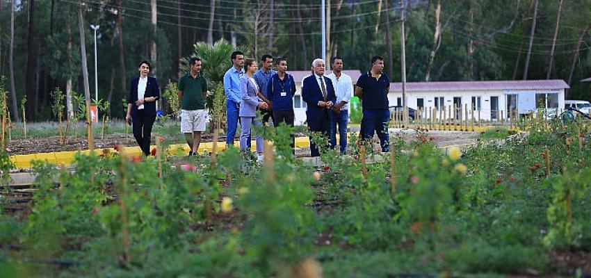 mugla-buyuksehir-belediye-baskani-dr-osman-gurun-tibbi-bitkiler-koleksiyon-bahcesini-inceledi.jpg