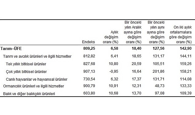 tarim-urunleri-uretici-fiyat-endeksi-tarim-ufe-yillik-%12756-aylik-658-artti.jpg