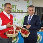 dunyanin-kirazi-kemalpasadan-gidecek.jpg