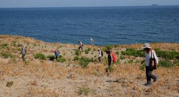 Türkiye'nin dört bir yanındaki kazılarla arkeolojik varlıklar gün yüzüne çıkarılıyor