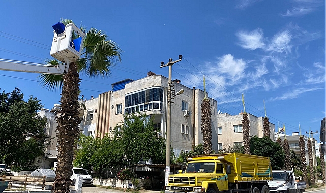 milas-belediyesinin-hizli-ve-etkin-mudahalesiyle-bir-firsata-donustu.jpg