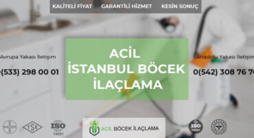 İstanbul Böcek İlaçlama: Evdeki Haşerelerden Kurtulmanın Uzman Yöntemi