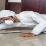 Böceklerle Mücadelede Doğal ve Etkili Yöntemler: Ankara’da Çevre Dostu İlaçlama Hizmetleri