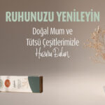 Mitr: Doğallığın, Enerjinin ve Bilincin Buluşma Noktası