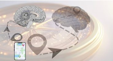 Beyin Tümörü Ameliyatında Nöronavigasyon Nedir