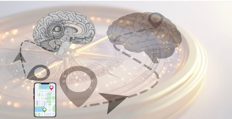 Beyin Tümörü Ameliyatında Nöronavigasyon Nedir